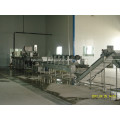 Onion Slice Belt Drying Equipment